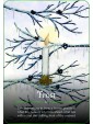 Seasons of the Witch Yule Oracle by Lorriane Anderson & Juliet Diaz